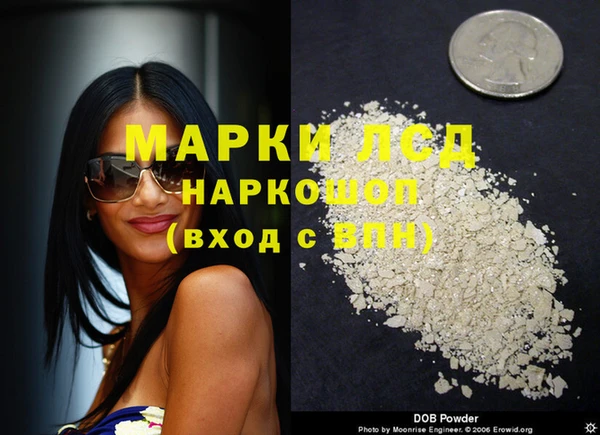 стаф Карталы